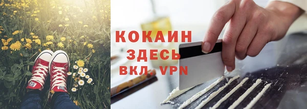 индика Лиски