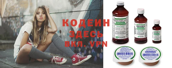 индика Лиски