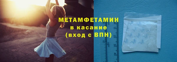 прущие грибы Липки