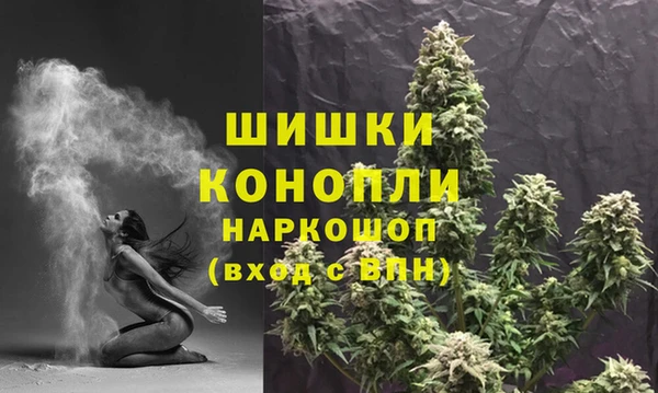 индика Лиски