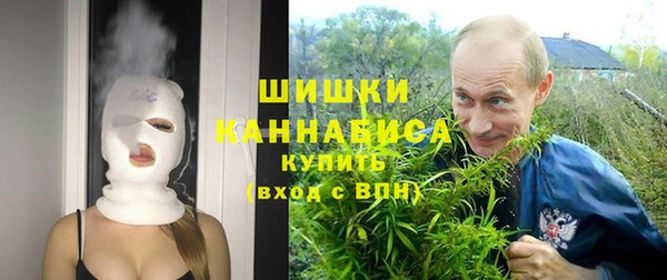 индика Лиски