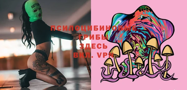 индика Лиски