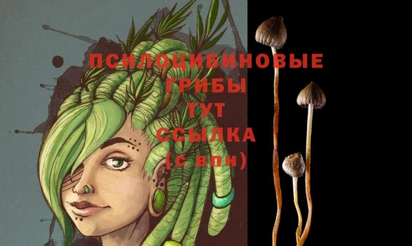 прущие грибы Липки