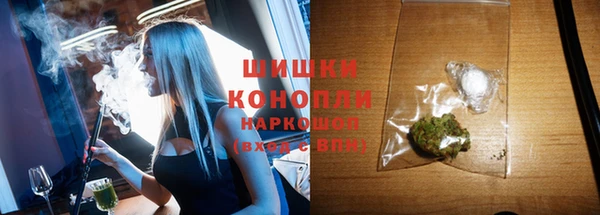 прущие грибы Липки